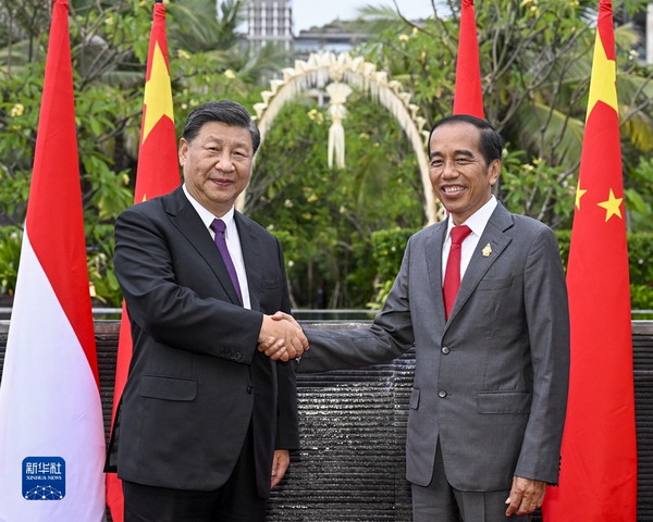 President Xi Jinping holds talks with Indonesian President Joko Widodo